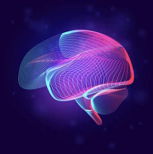 A vibrant image of a human brain, symbolizing cognitive processes and mental well-being.
