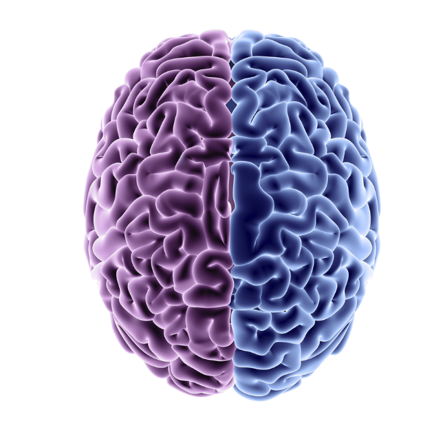 Infographic showing the VISUALIZEin360 science-backed system for rewiring the brain, reducing anxiety, and improving focus, emotional regulation, and psychological flexibility.
