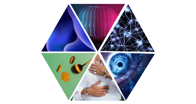 Experiencing inner peace through brain-based and somatic healing with VISUALIZEin360��s multidimensional approach.